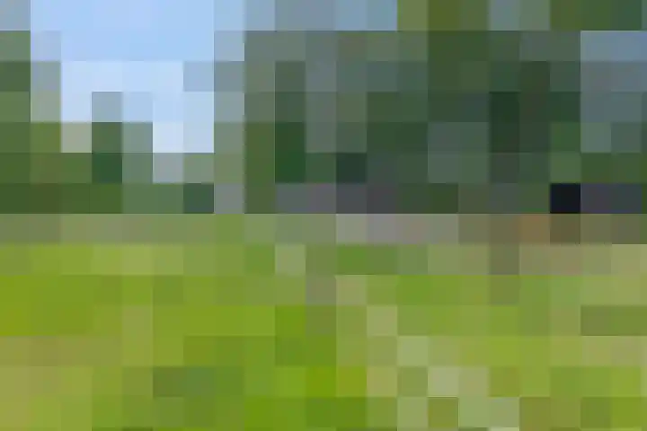 Snijdersteeg 14 Rhenen thumbnail 61