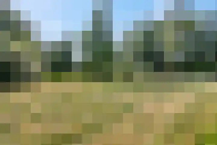Snijdersteeg 14 Rhenen thumbnail 62