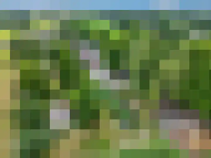 Snijdersteeg 14 Rhenen thumbnail 66