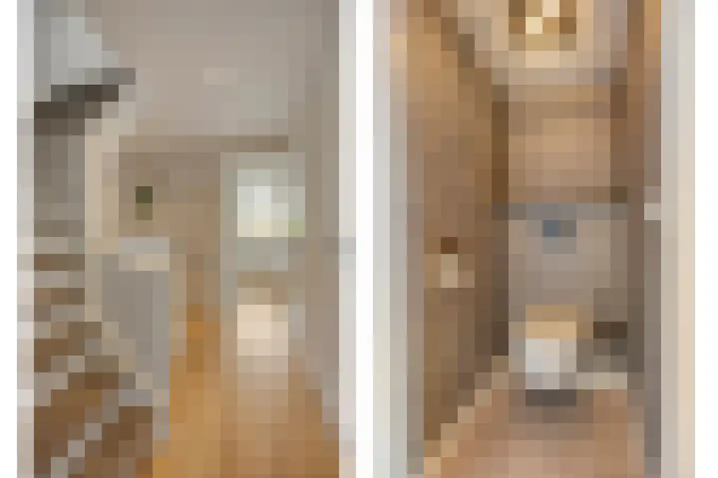 Snijderstraat 2 Son en Breugel thumbnail 31