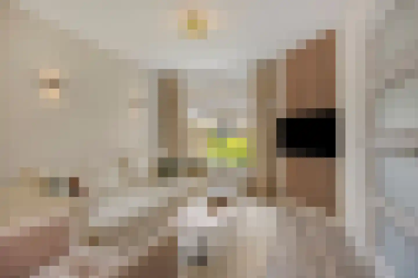 Snijderstraat 2 Son en Breugel thumbnail 4