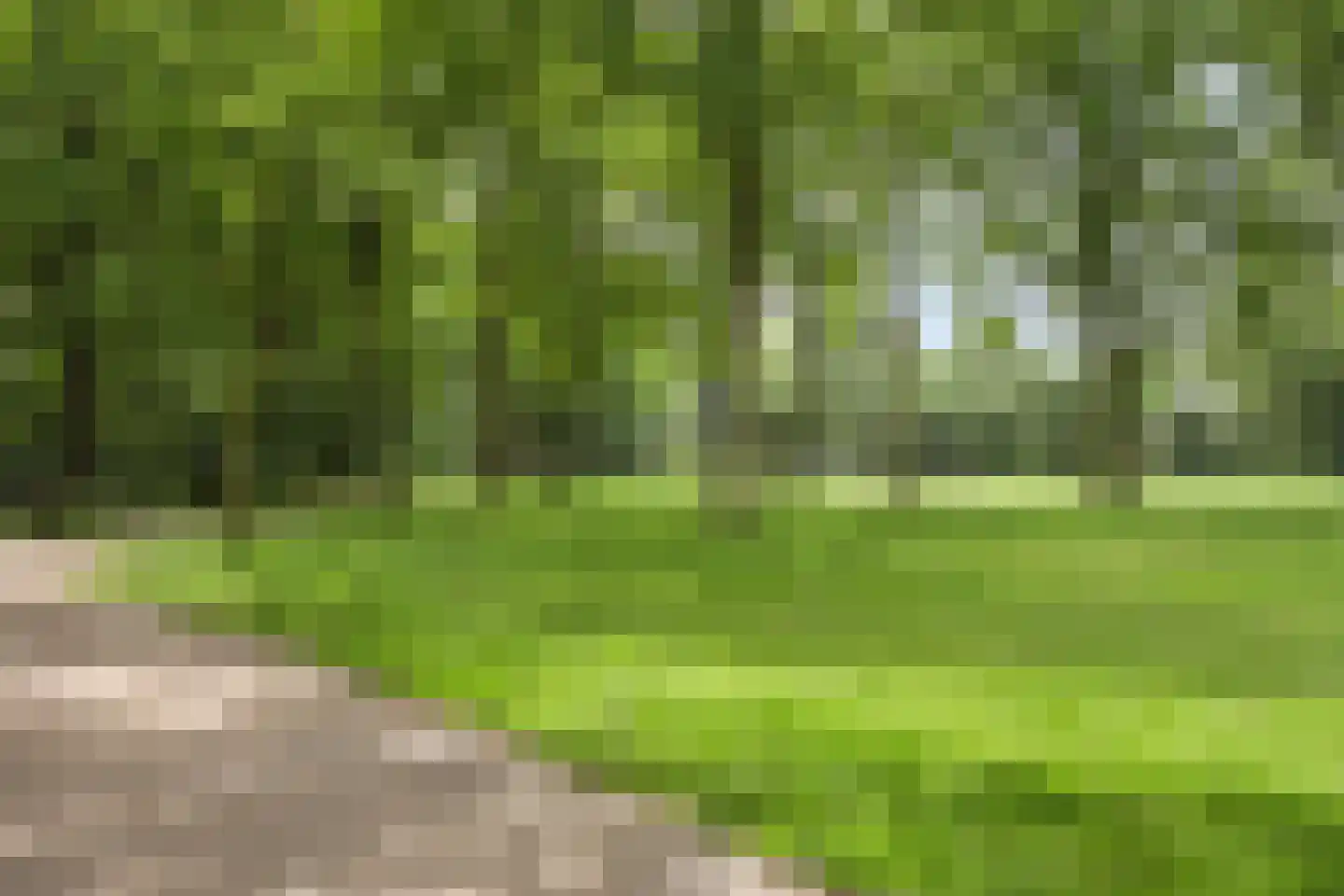 Snijderstraat 2 Son en Breugel thumbnail 47