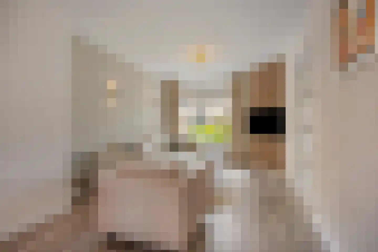 Snijderstraat 2 Son en Breugel thumbnail 5