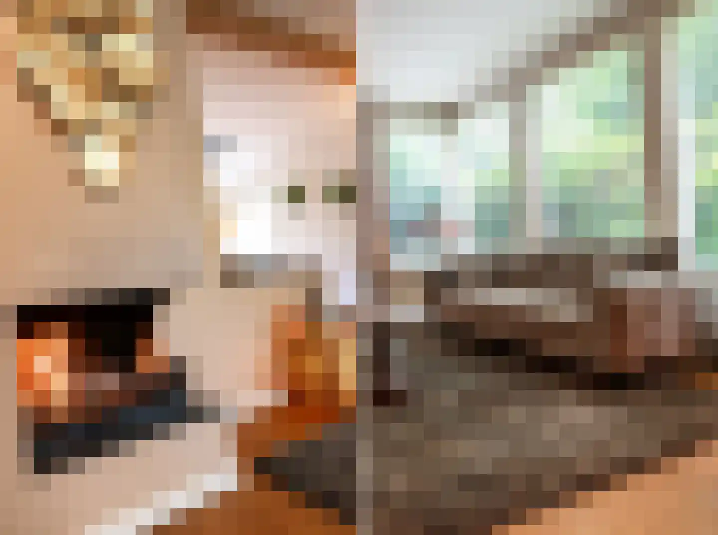 Snijderstraat 25 Oss thumbnail 12