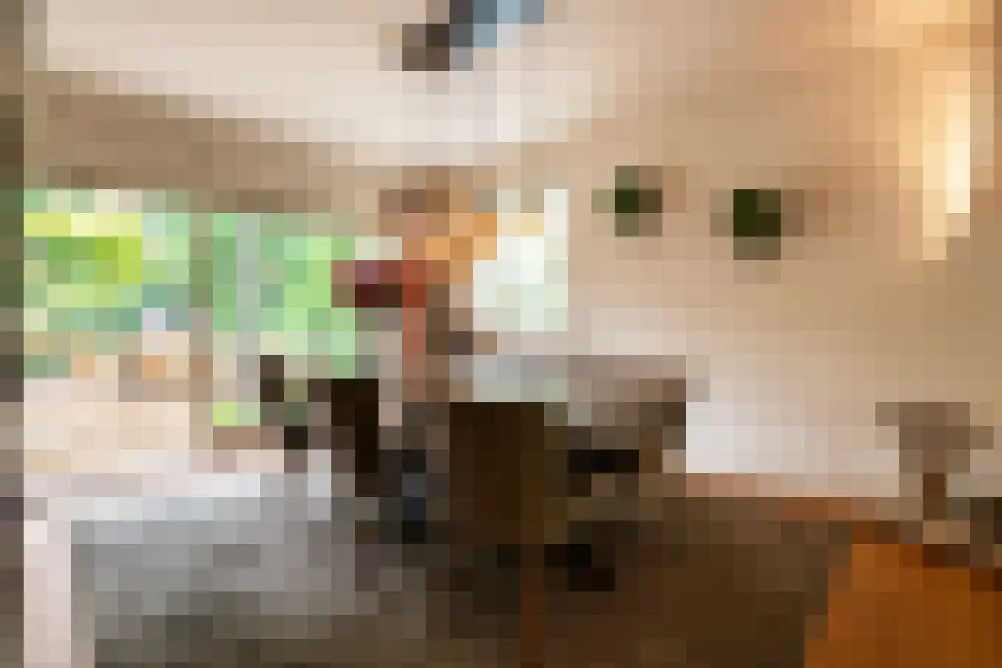 Snijderstraat 25 Oss thumbnail 13