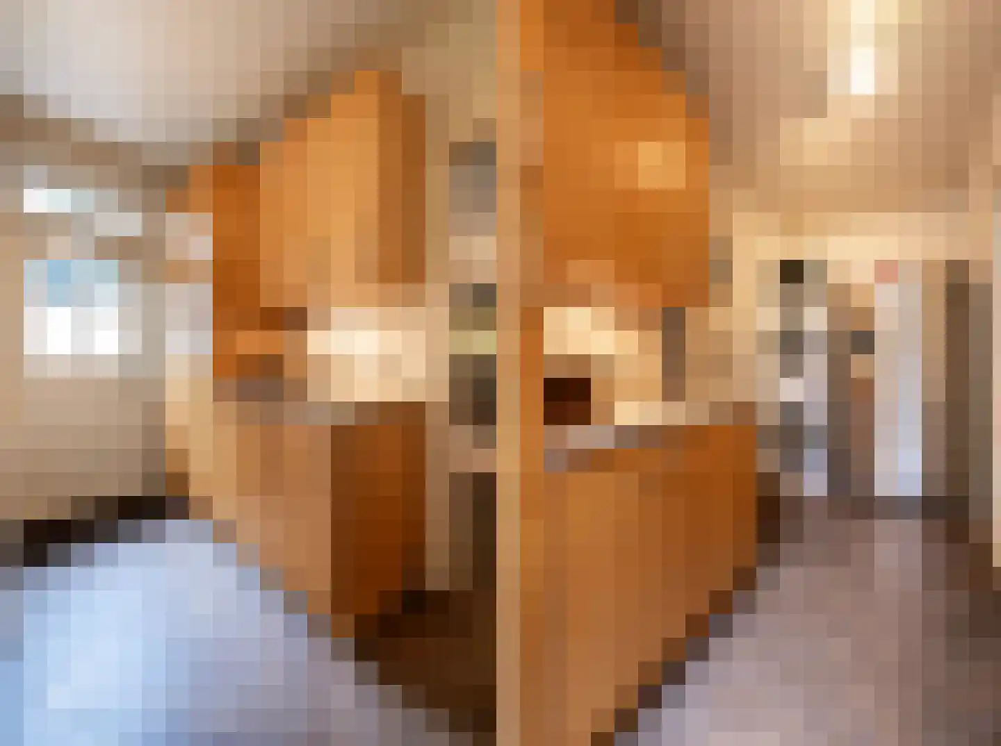Snijderstraat 25 Oss thumbnail 21