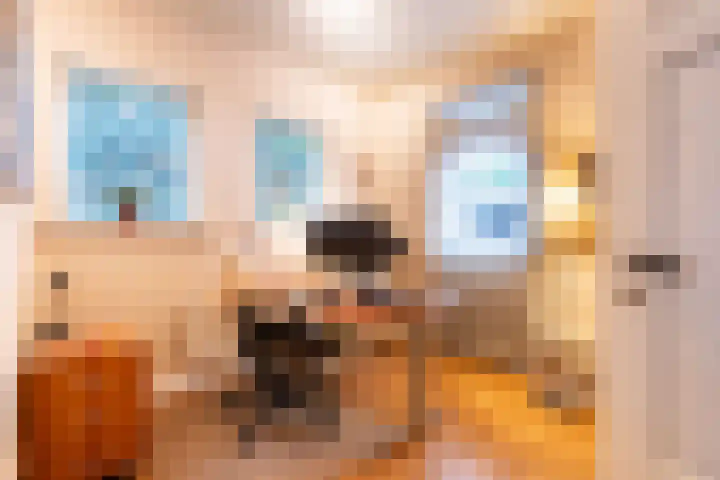 Snijderstraat 25 Oss thumbnail 22