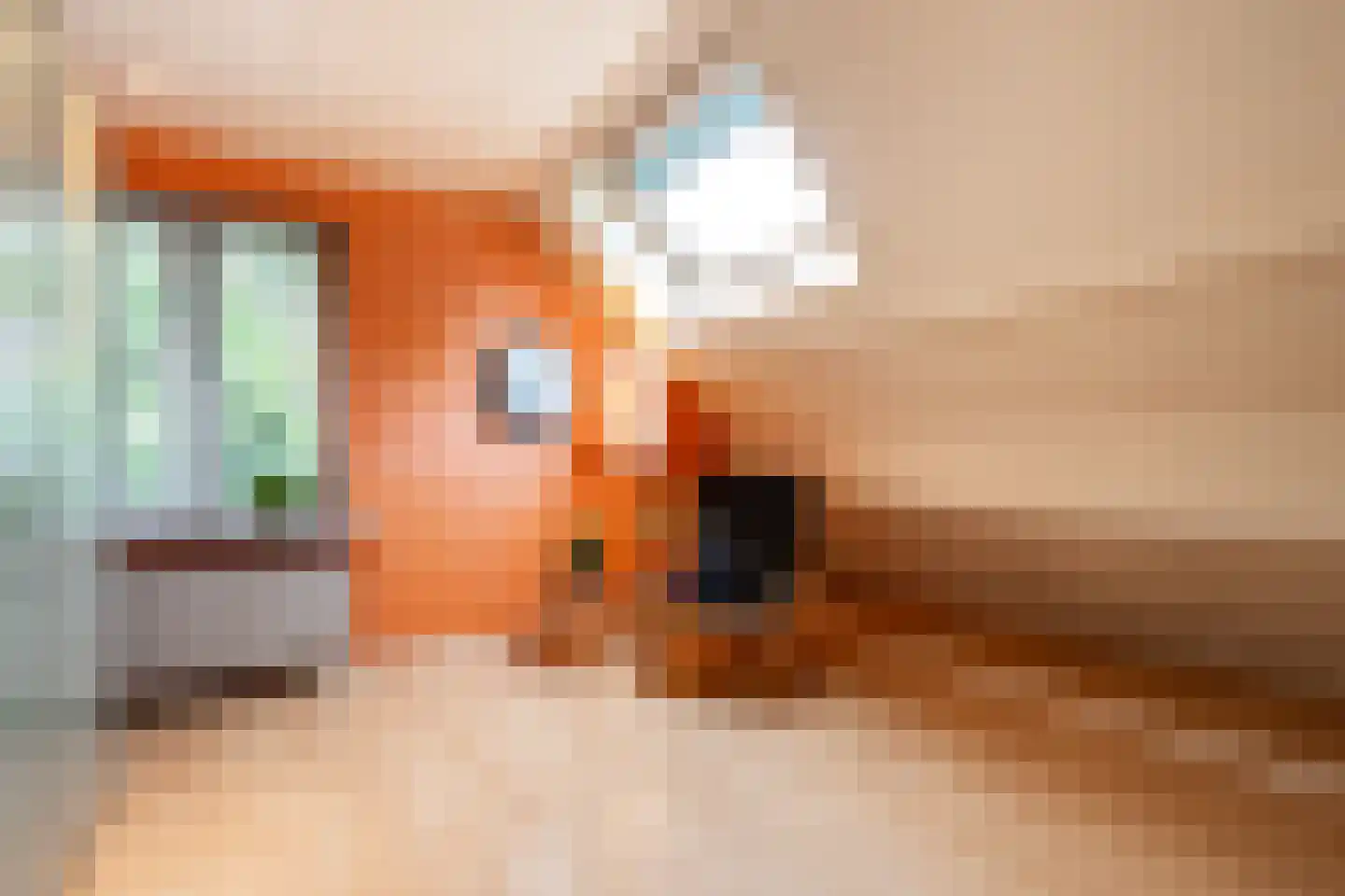 Snijderstraat 25 Oss thumbnail 28