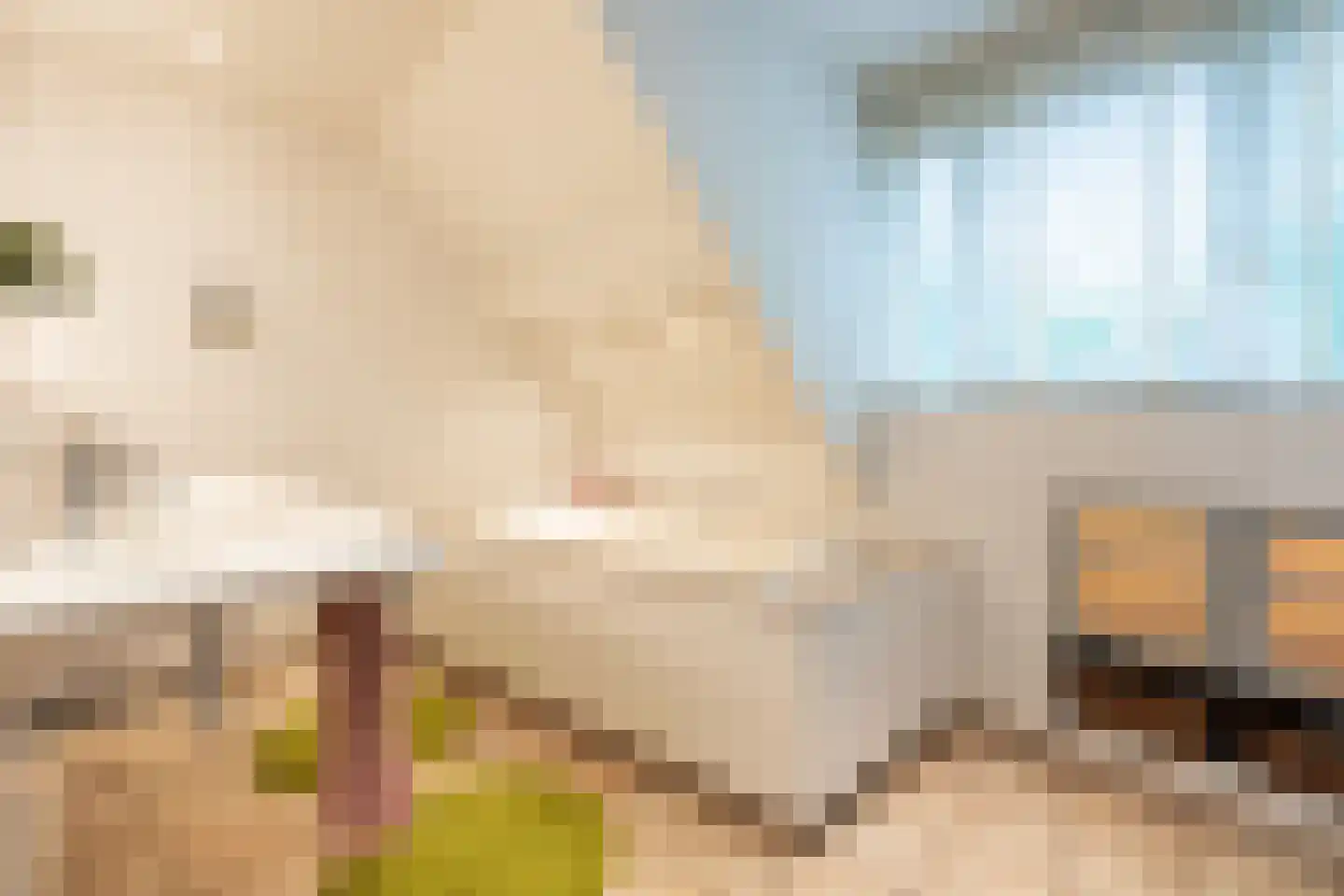 Snijderstraat 25 Oss thumbnail 29