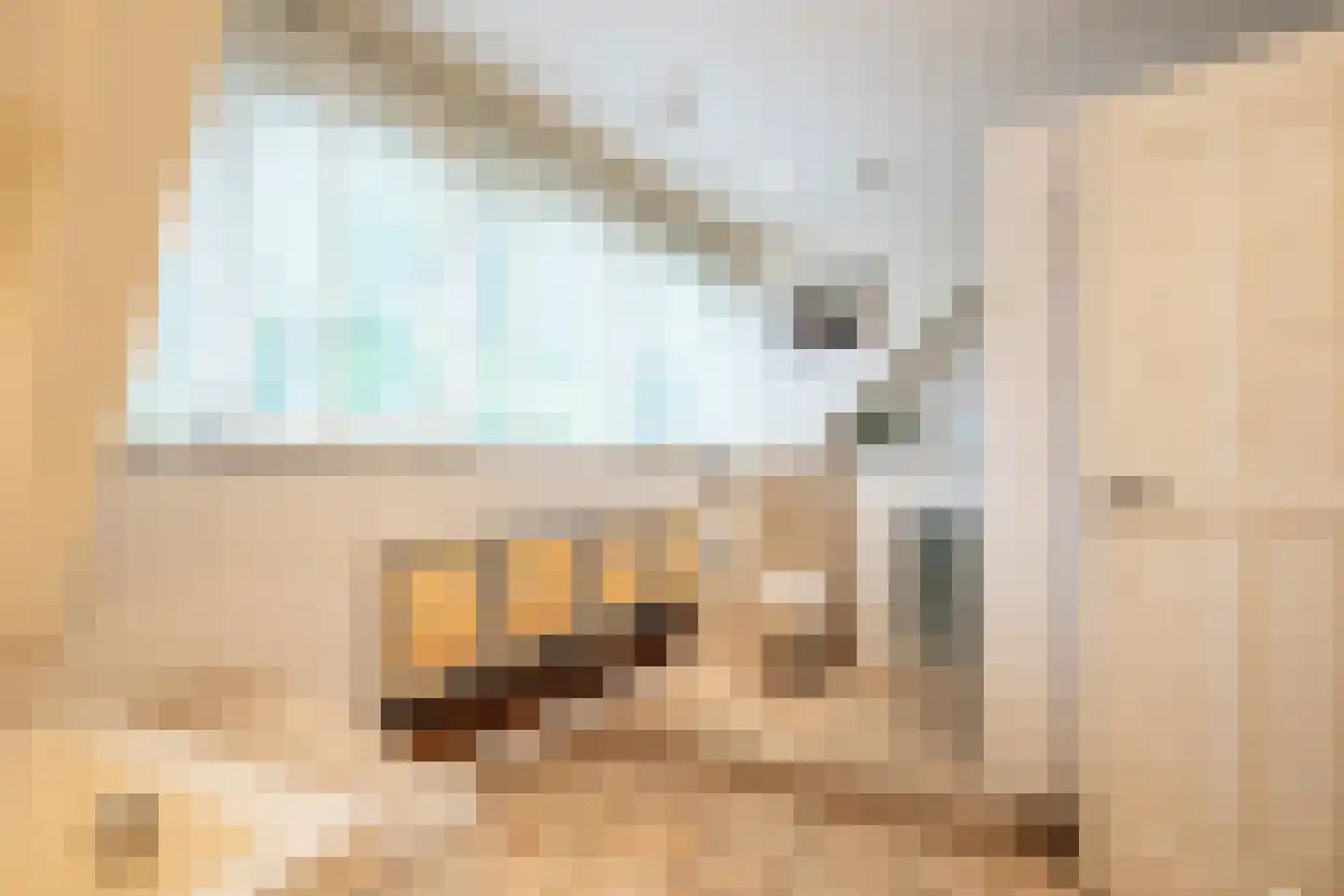 Snijderstraat 25 Oss thumbnail 30