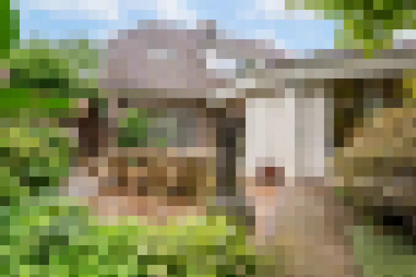 Snijderstraat 25 Oss thumbnail 34