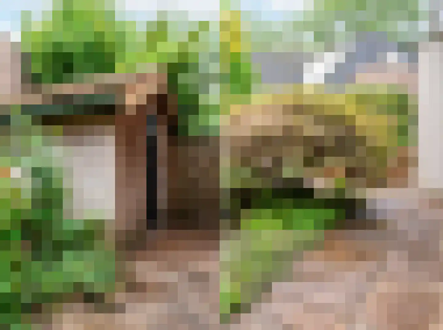 Snijderstraat 25 Oss thumbnail 35