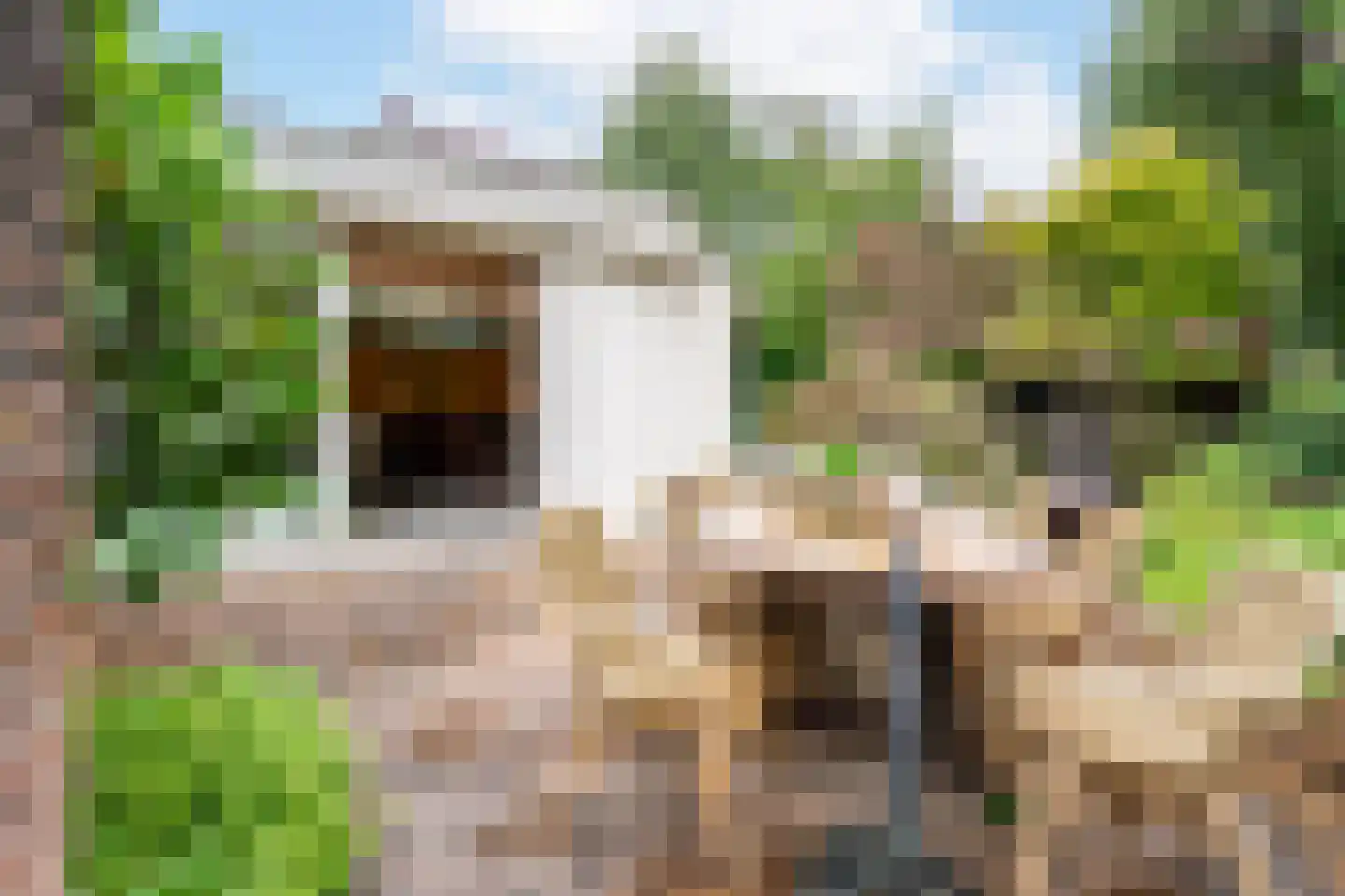 Snijderstraat 25 Oss thumbnail 36