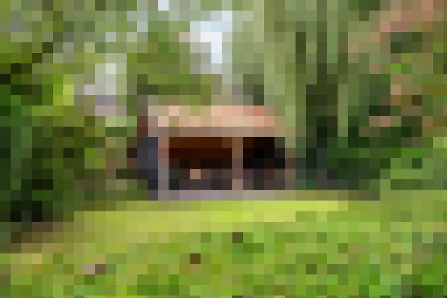 Snijderstraat 25 Oss thumbnail 37
