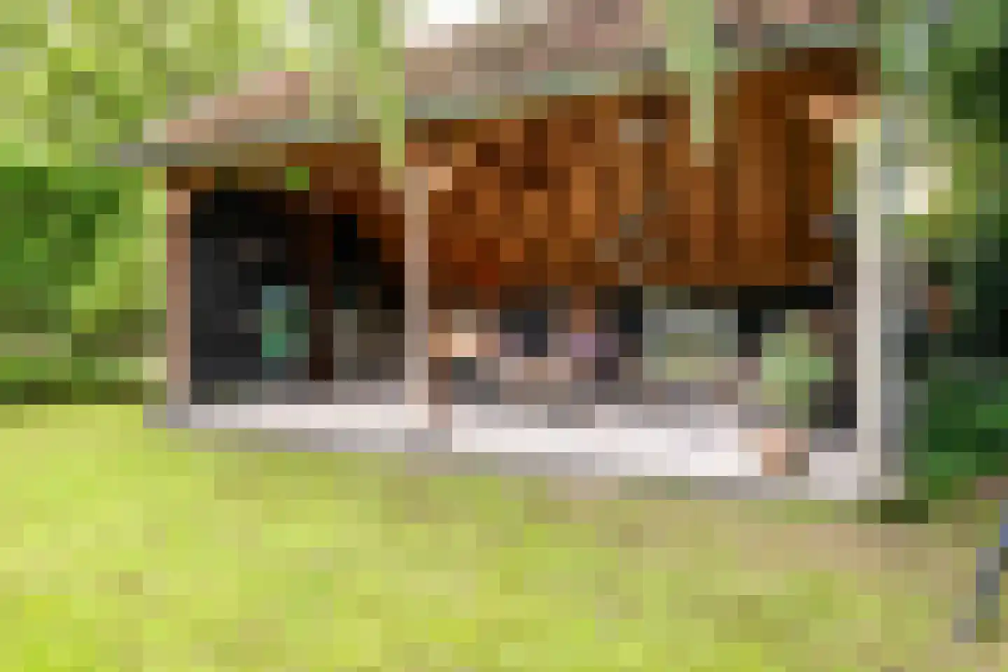 Snijderstraat 25 Oss thumbnail 38