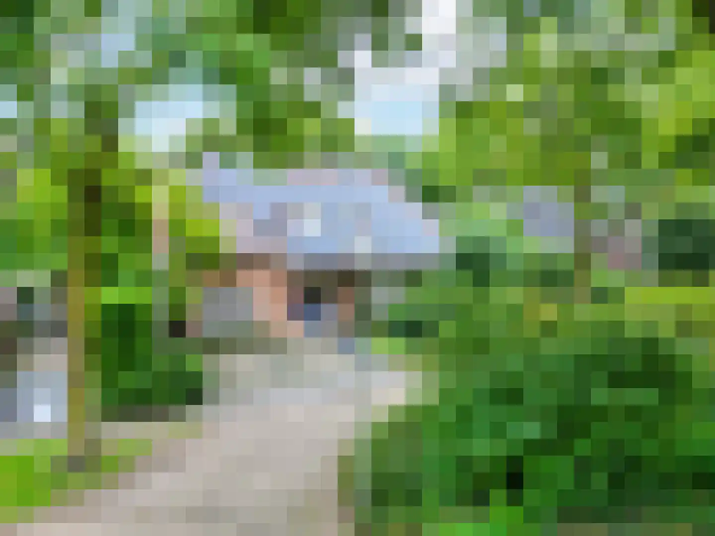 Snijderstraat 25 Oss thumbnail 41