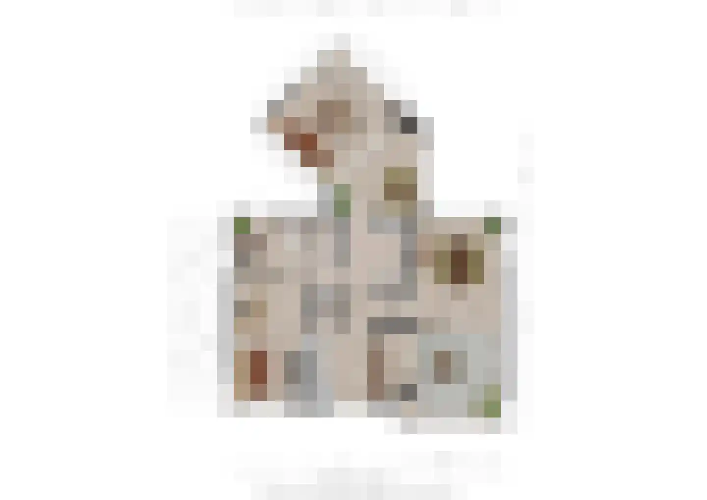 Snijderstraat 25 Oss thumbnail 42