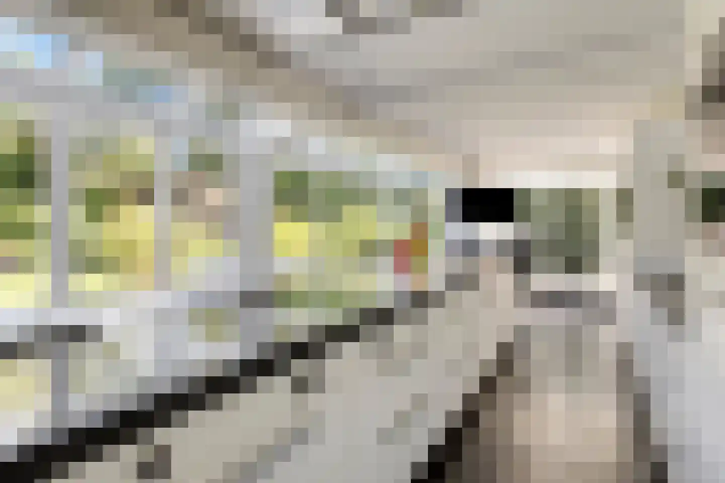 Snijderstraat 27 Oss thumbnail 19
