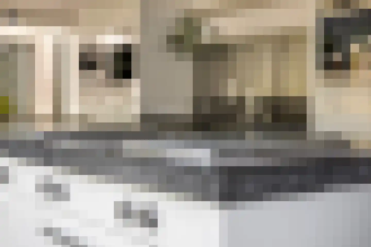 Snijderstraat 27 Oss thumbnail 24