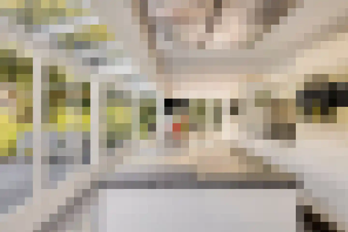 Snijderstraat 27 Oss thumbnail 25