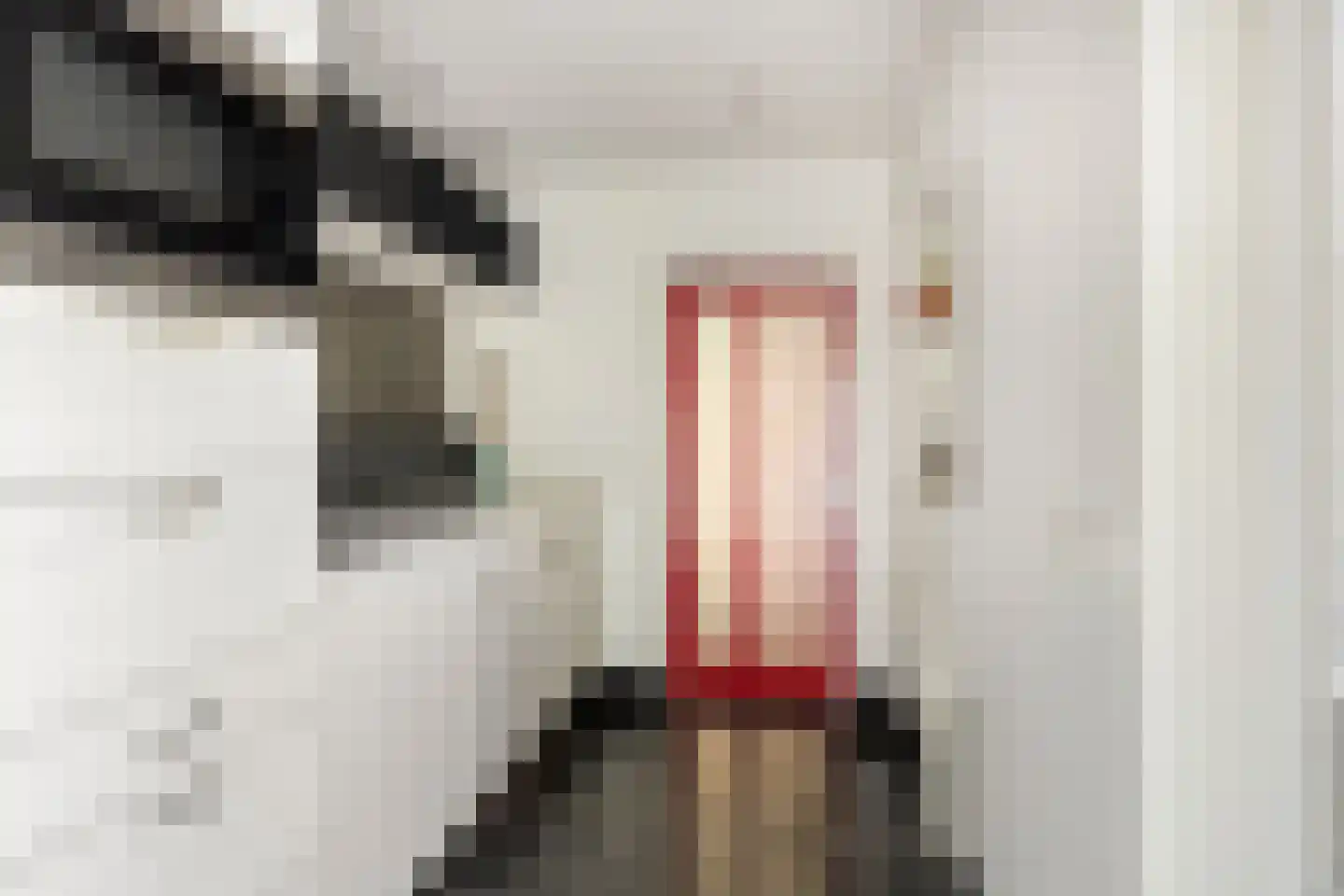 Snijderstraat 27 Oss thumbnail 26