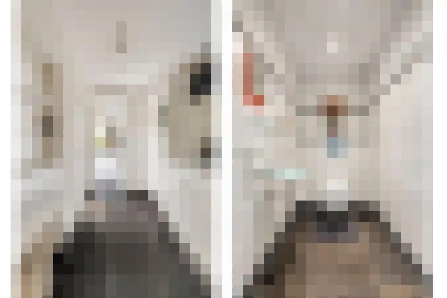 Snijderstraat 27 Oss thumbnail 27