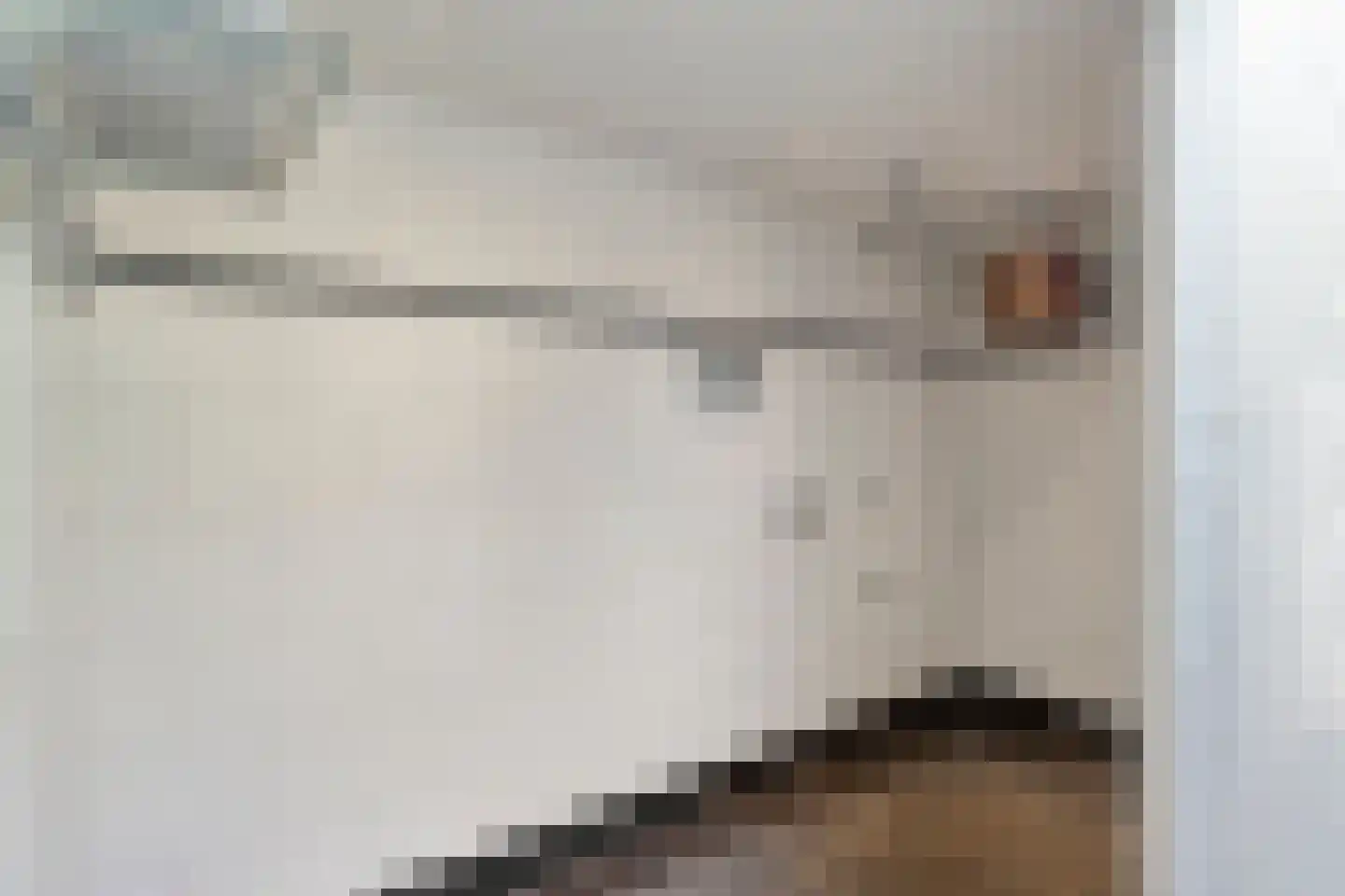 Snijderstraat 27 Oss thumbnail 31