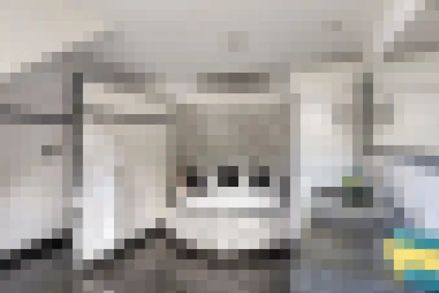 Snijderstraat 27 Oss thumbnail 35