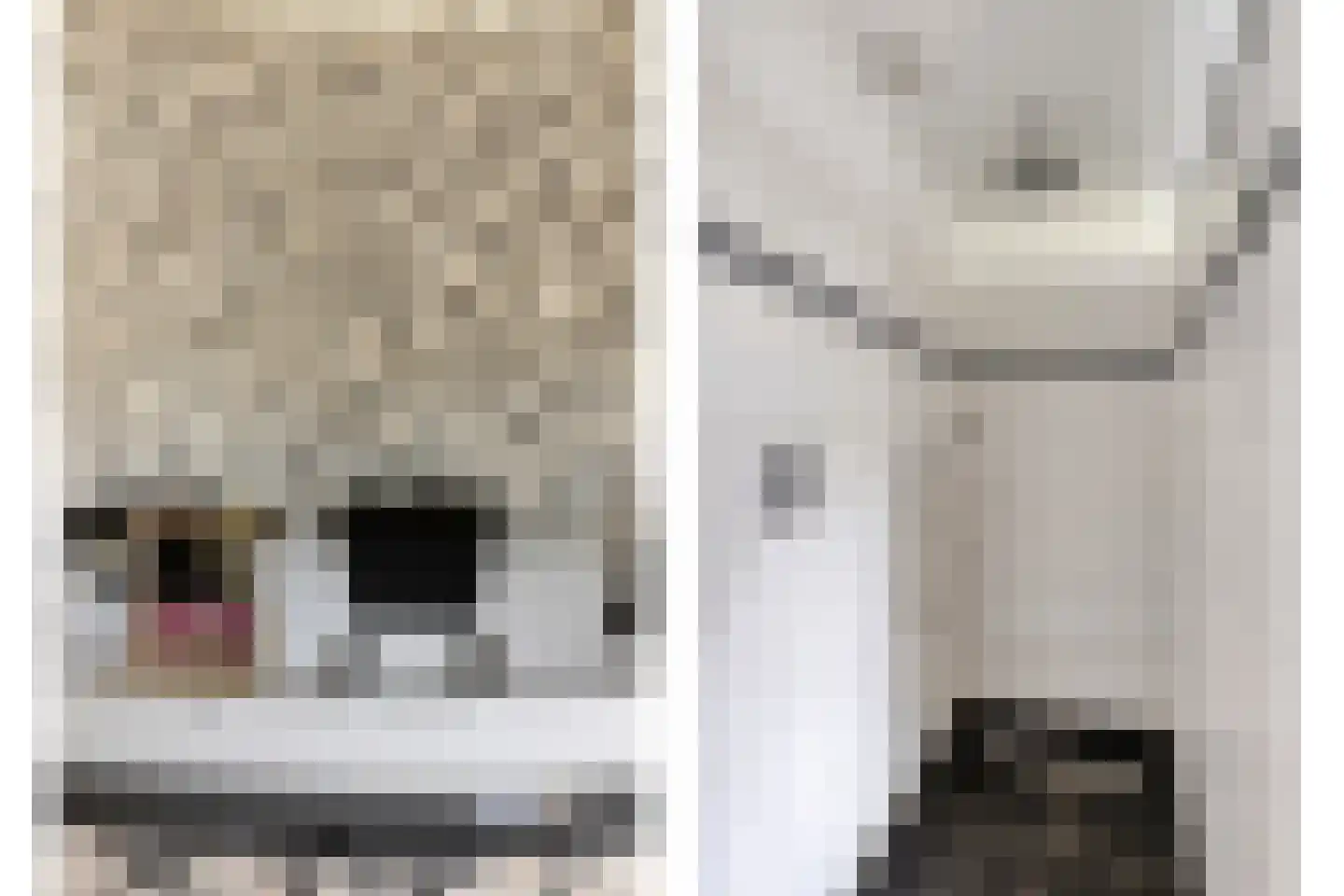 Snijderstraat 27 Oss thumbnail 36