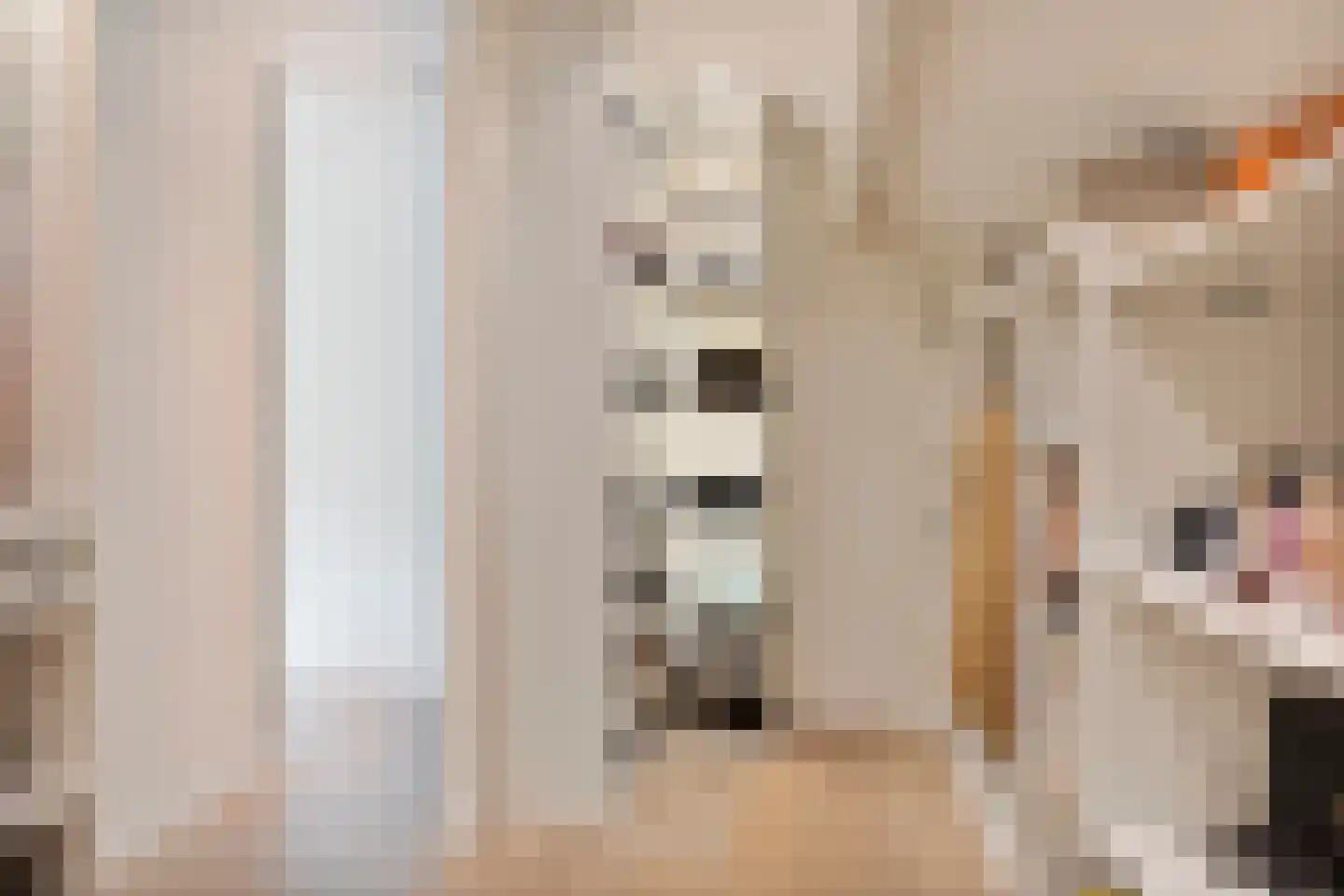 Snijderstraat 27 Oss thumbnail 38