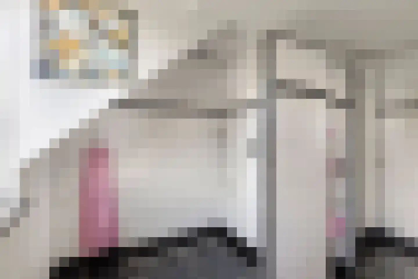 Snijderstraat 27 Oss thumbnail 43