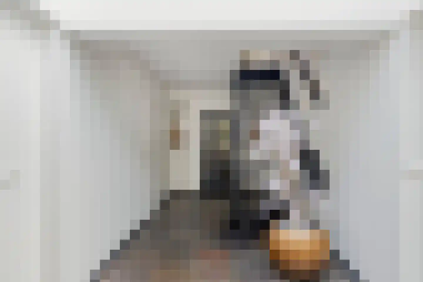 Snijderstraat 27 Oss thumbnail 6