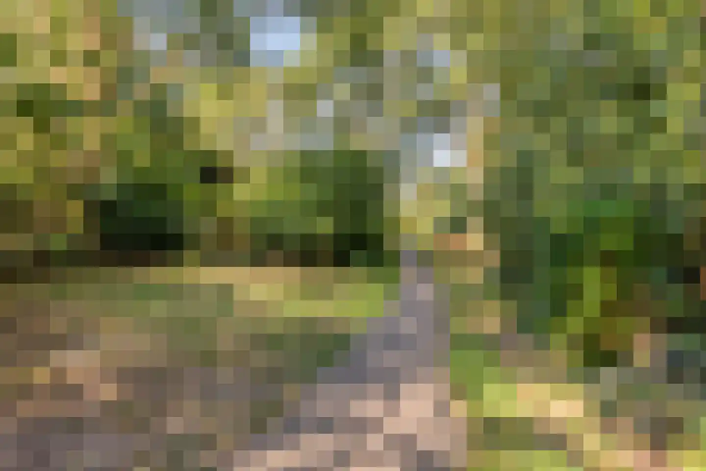 Snijderstraat 27 Oss thumbnail 62