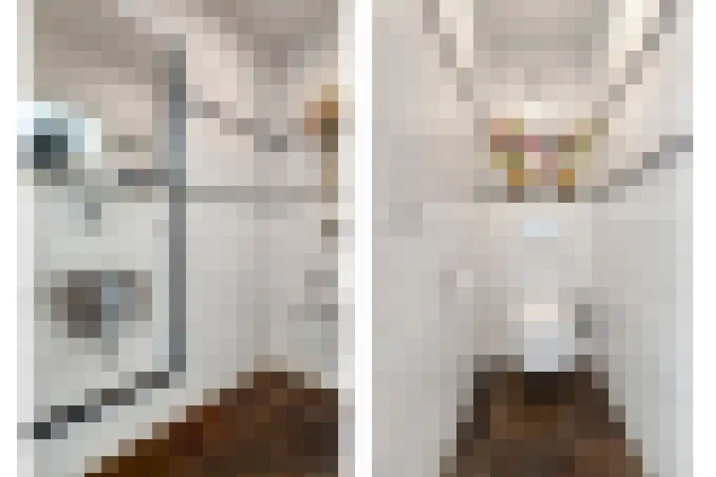 Snijderstraat 27 Oss thumbnail 7