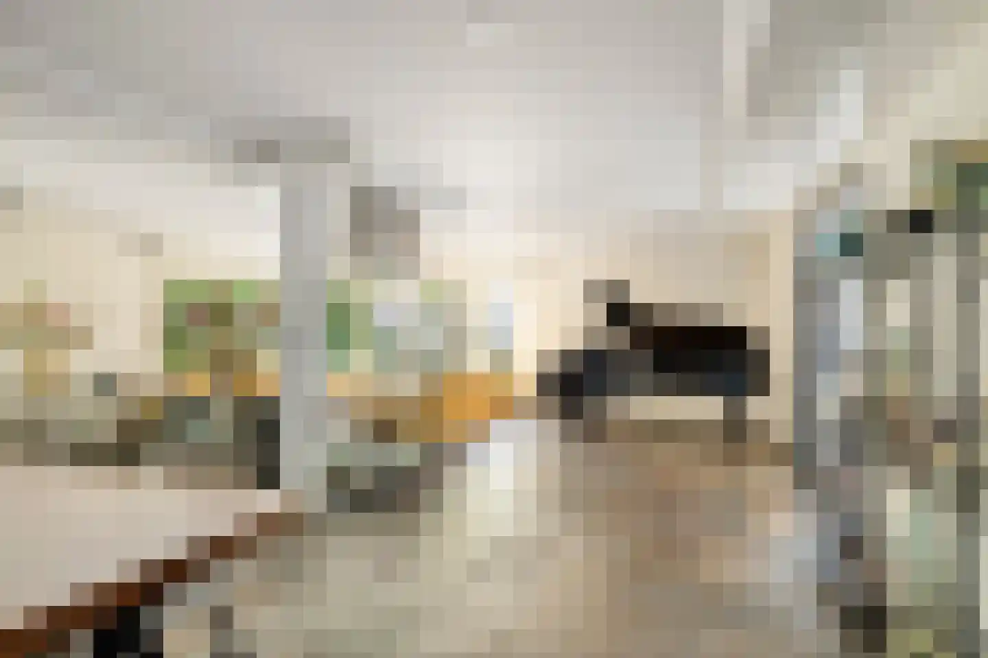 Snijderstraat 27 Oss thumbnail 9