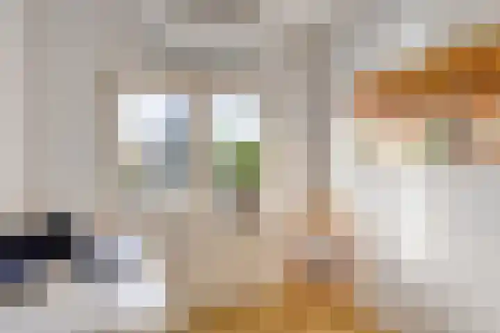 Snijderstraat 3 Son en Breugel thumbnail 18