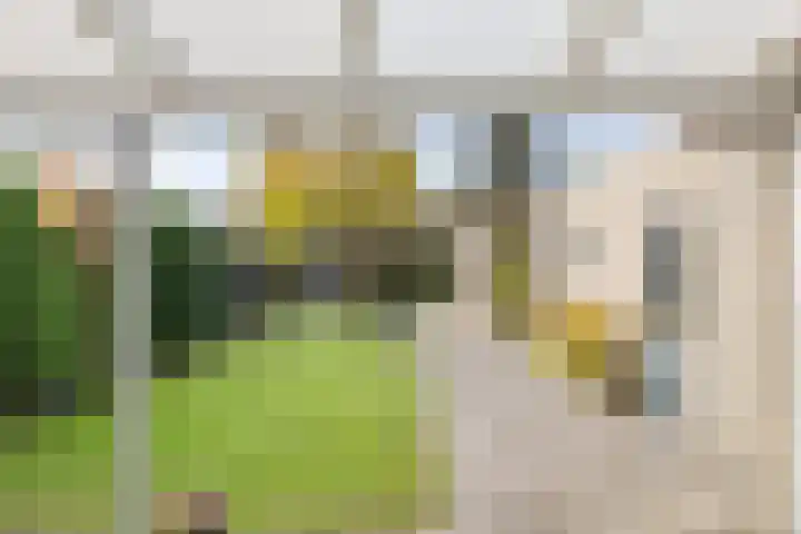 Snijderstraat 3 Son en Breugel thumbnail 21