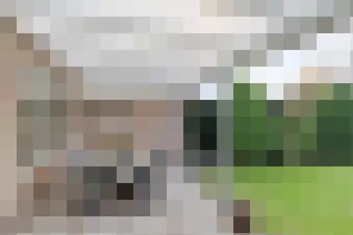 Snijderstraat 3 Son en Breugel thumbnail 23