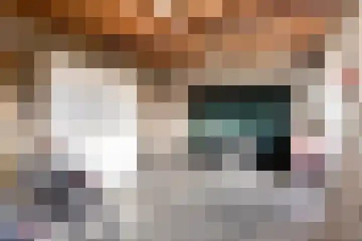 Snijderstraat 3 Son en Breugel thumbnail 25