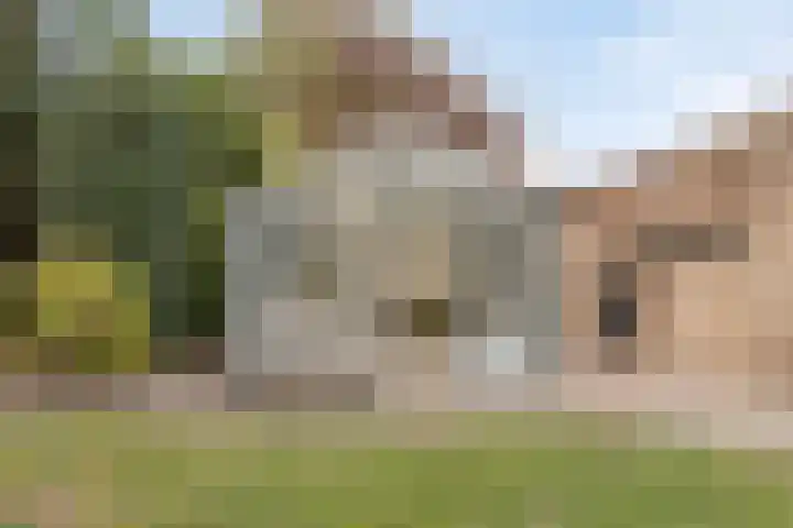 Snijderstraat 3 Son en Breugel thumbnail 29