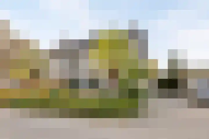 Snijderstraat 3 Son en Breugel thumbnail 31