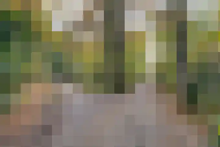 Snijderstraat 3 Son en Breugel thumbnail 33