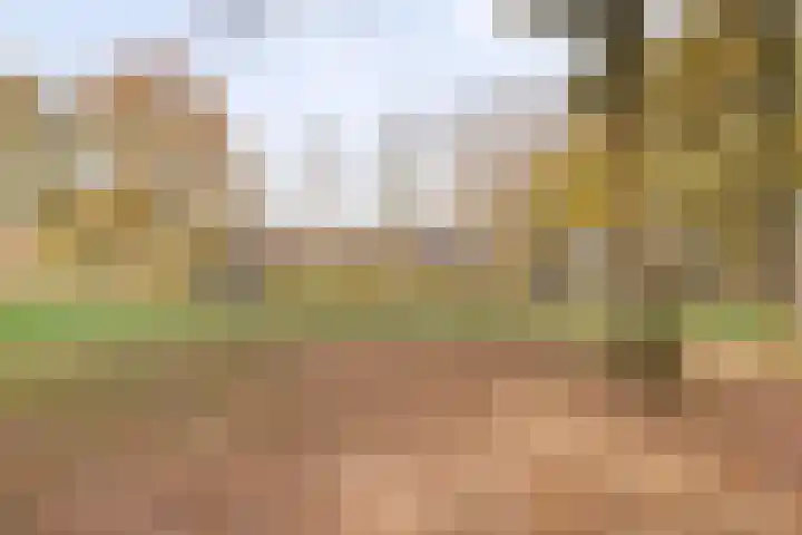 Snijderstraat 3 Son en Breugel thumbnail 34
