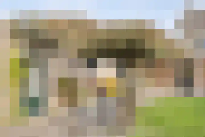 Snijderstraat 3 Son en Breugel thumbnail 4