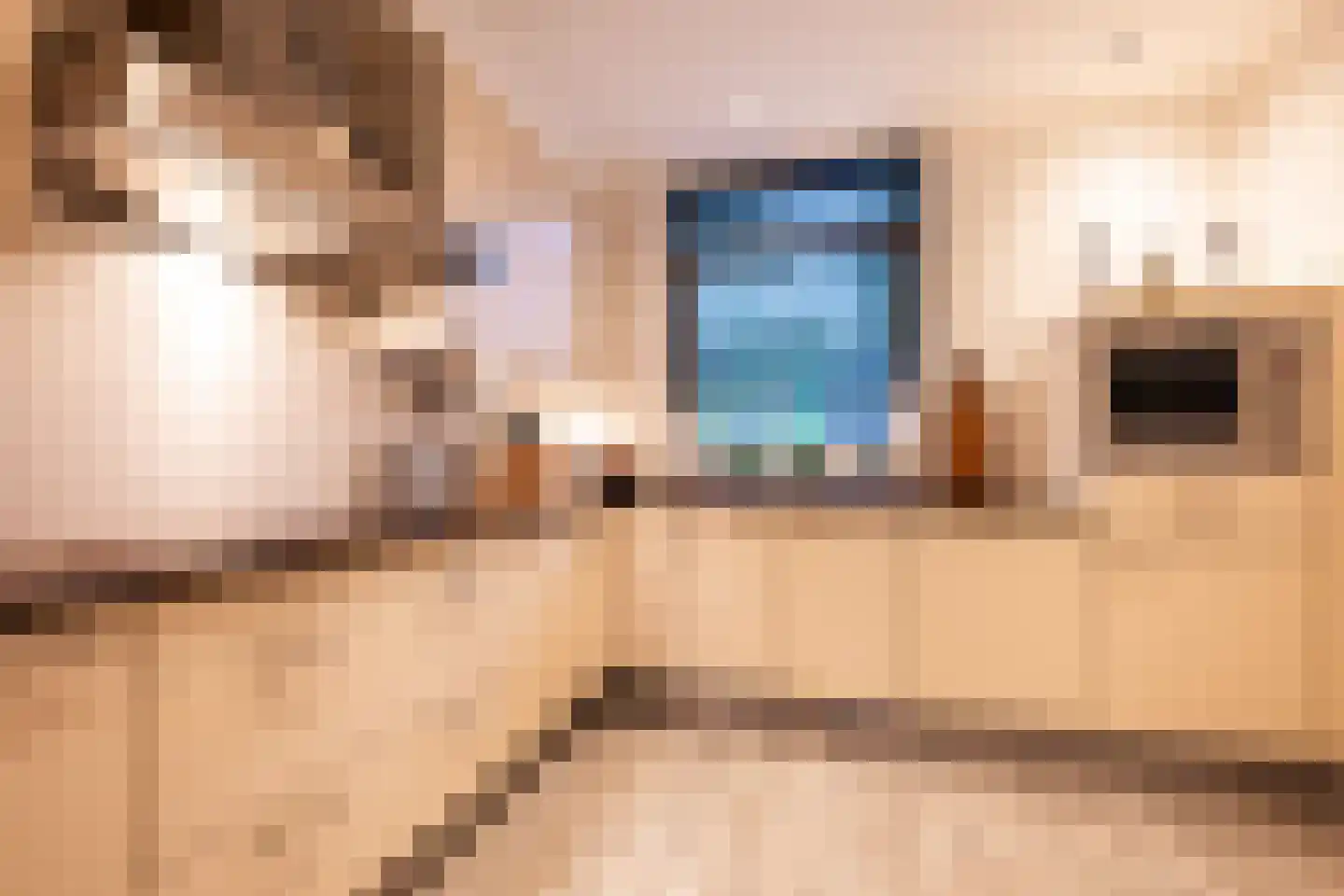 Snijderstraat 41 Oss thumbnail 12