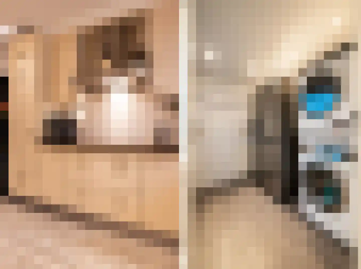Snijderstraat 41 Oss thumbnail 13
