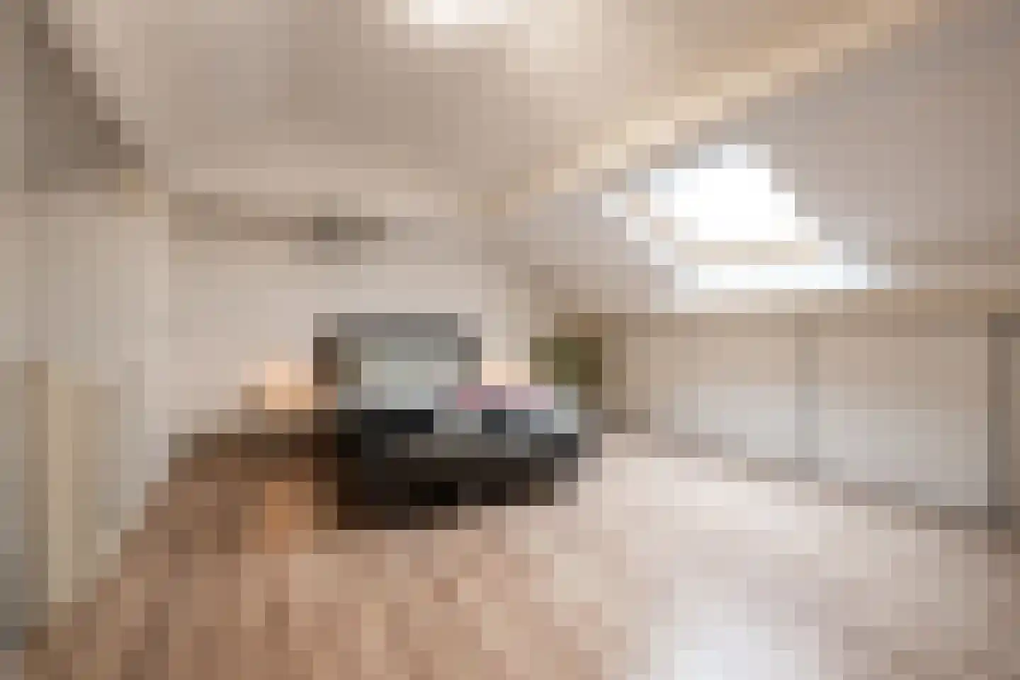 Snijderstraat 41 Oss thumbnail 20