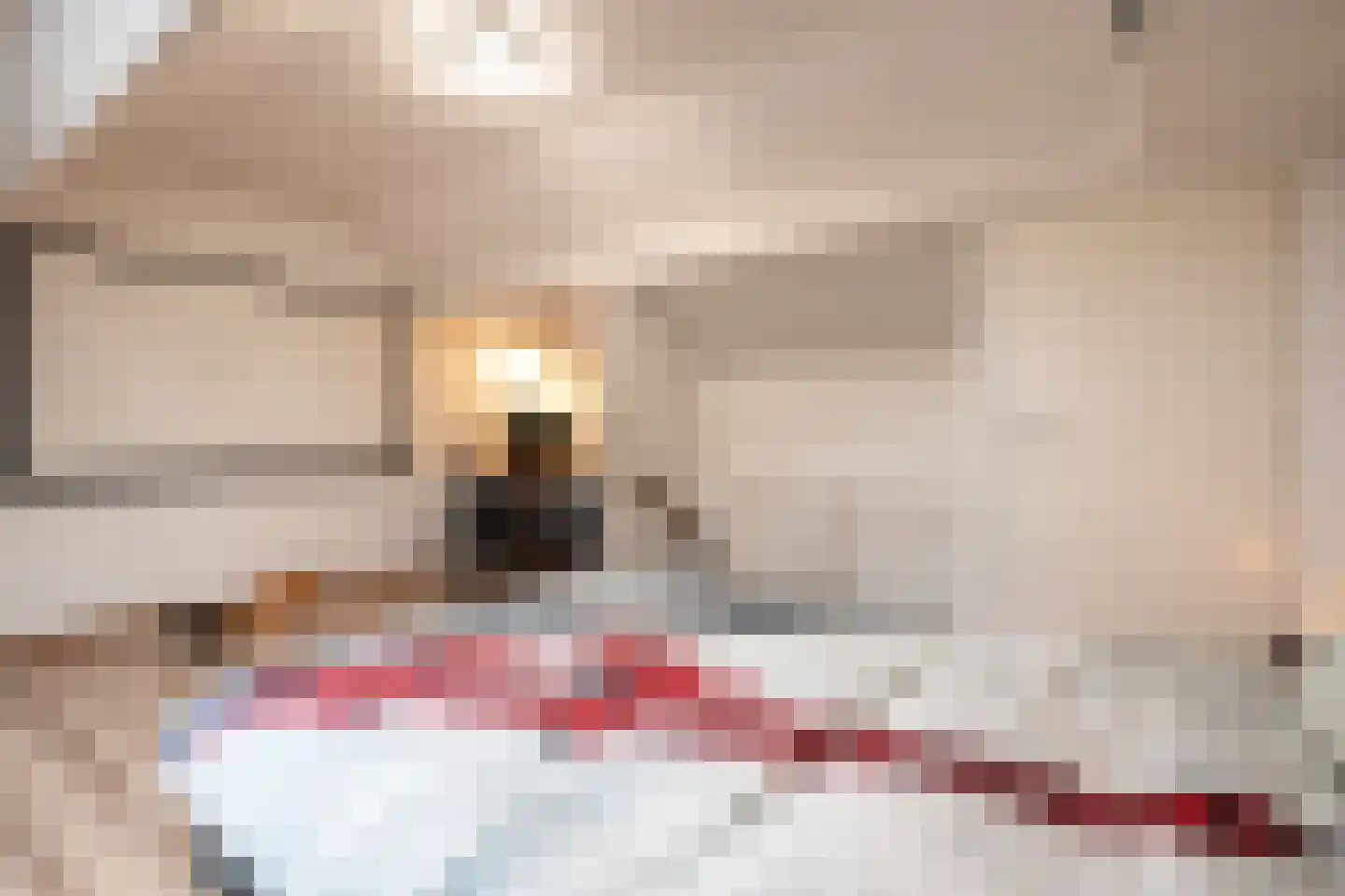 Snijderstraat 41 Oss thumbnail 21