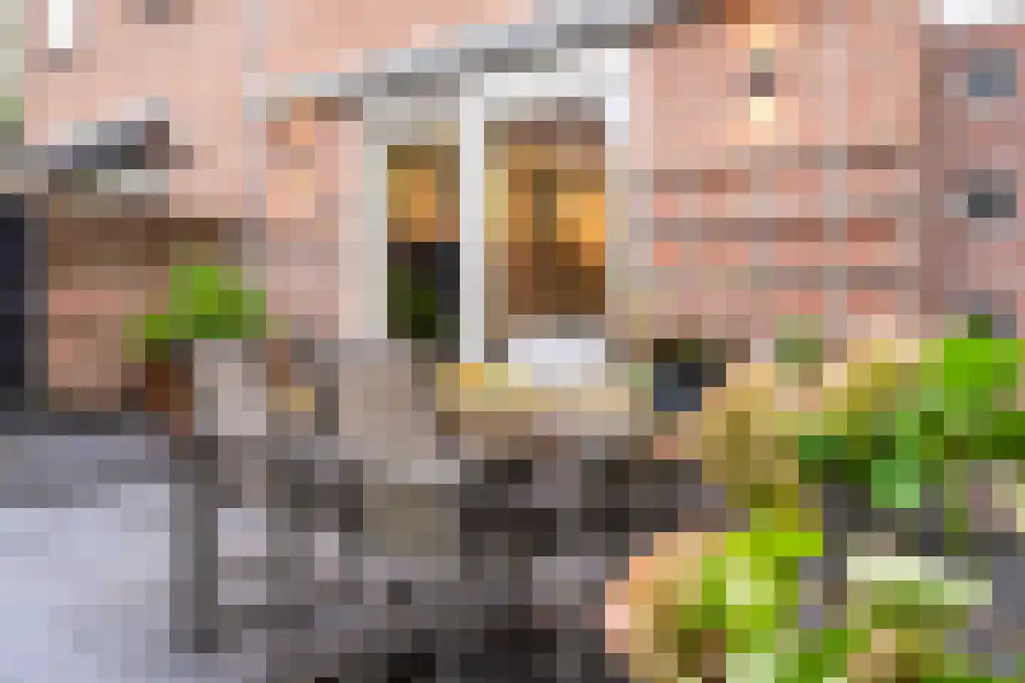 Snijderstraat 41 Oss thumbnail 26