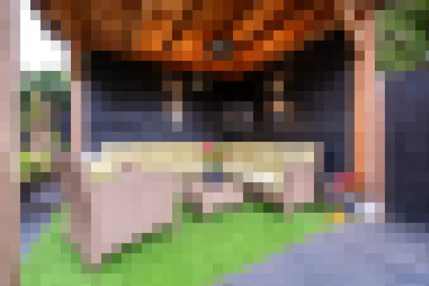 Snijderstraat 41 Oss thumbnail 29